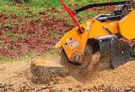 Best Aeration Services  in Bemidji, MN